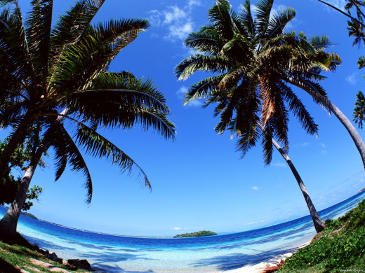 47488 (a): :1600x1200